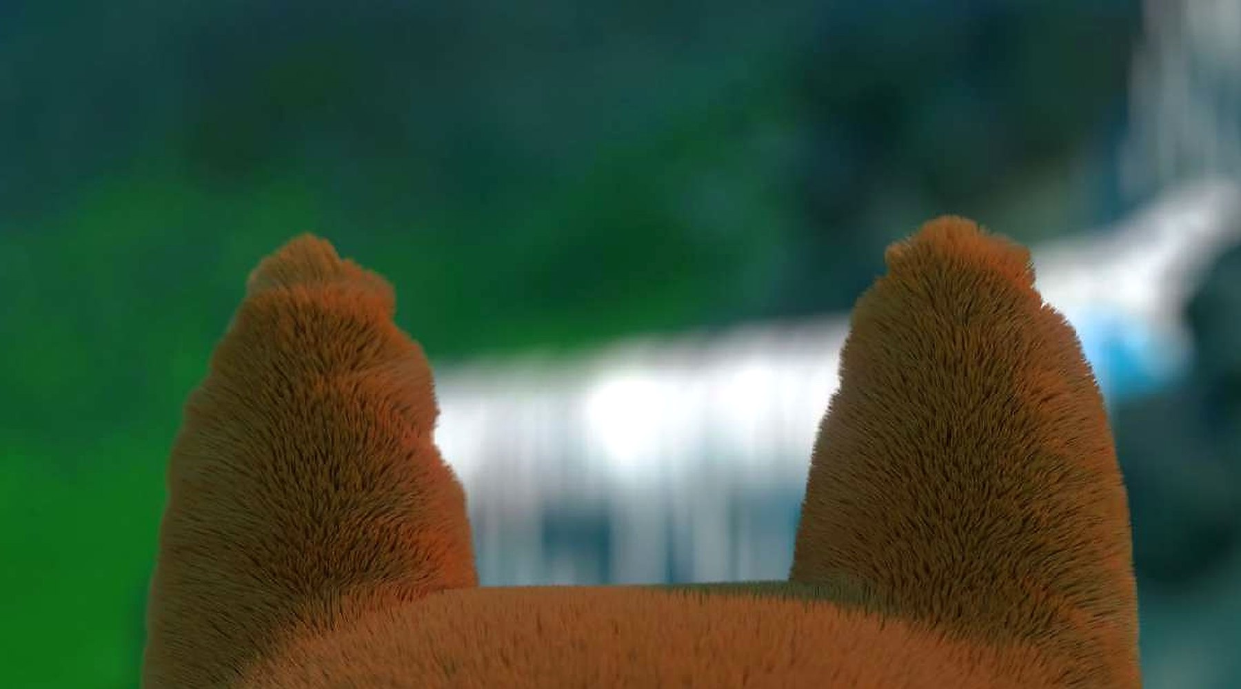 Yogapetz ears detail